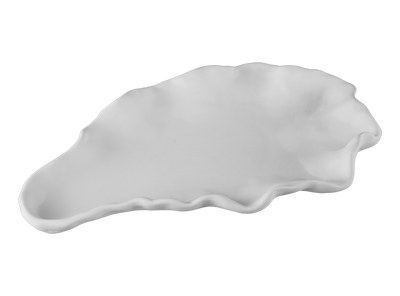 🦞 Oyster Shell Platter