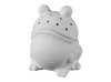 Frog Fruit Fly Trap