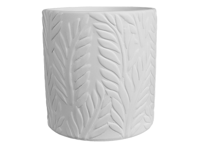 Fern Planter