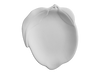 Lemon Dish