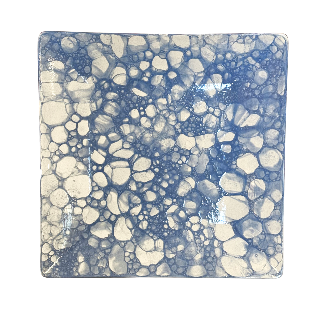 🍽️☕️🦞💜 Sq Coupe Dinner Plate