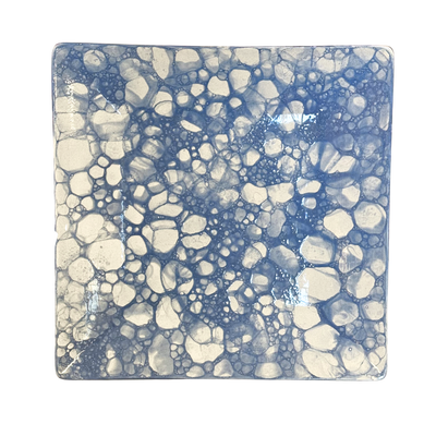🍽️☕️🦞💜 Sq Coupe Dinner Plate