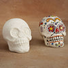 Med Skull Collectible